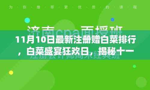 揭秘白菜盛宴狂欢日，十一月十日注册赠白菜排行背后的故事！
