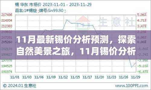 11月锡价分析与自然美景探索，交融心灵平静的奇妙旅程