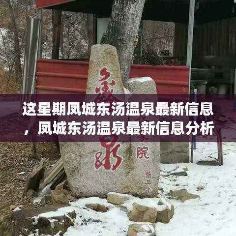 凤城东汤温泉最新动态,揭秘最新信息、价值分析与未来展望