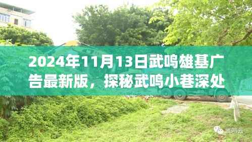 探秘武鸣小巷独特风味,雄基广告引领的神秘小店之旅(最新版)