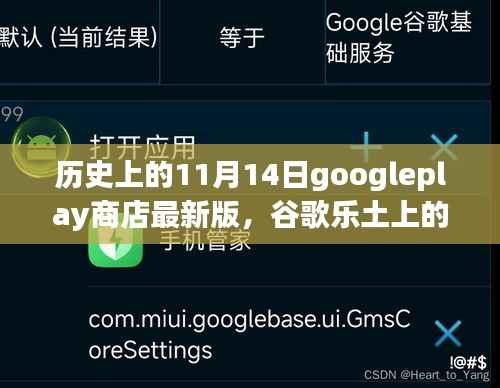谷歌乐土上的奇妙一天,11月14日的历史回顾与温馨故事