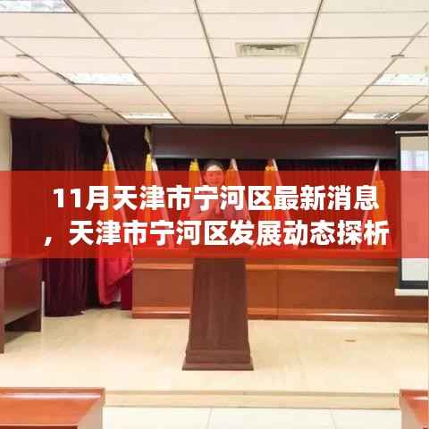 天津市宁河区发展动态最新探析，聚焦正反观点与个人立场分析