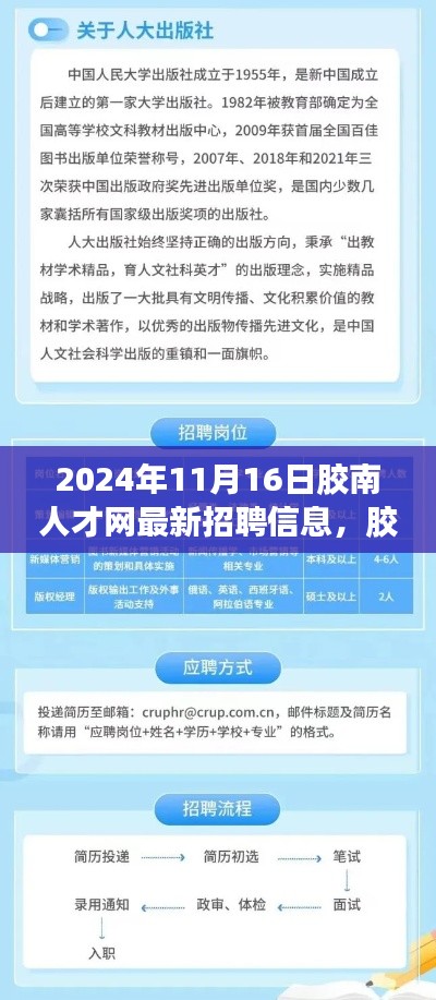 胶南人才网最新招聘信息亮点解析,2024年11月16日概览