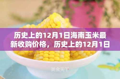 历史上的12月1日海南玉米最新收购价格及其影响深度解析