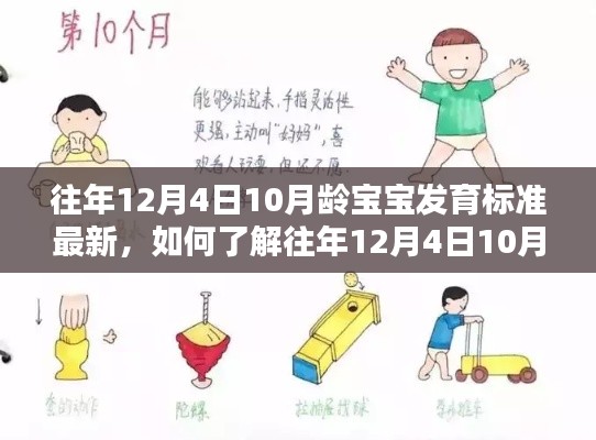 全面指南,了解往年12月4日10月龄宝宝发育标准与成长里程碑