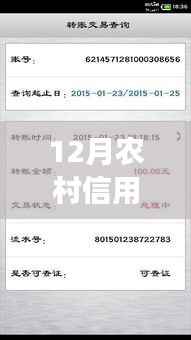 12月农村信用社实时转账,启程心灵探寻之旅,静享自然美景的力量