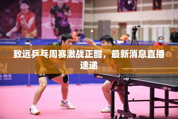 致远乒乓周赛激战正酣,最新消息直播速递