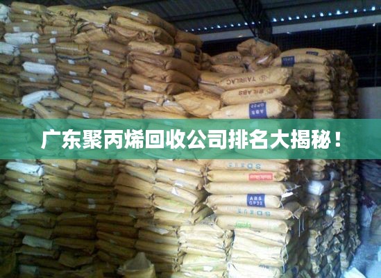 广东聚丙烯回收公司排名大揭秘!