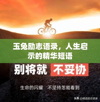 玉兔励志语录,人生启示的精华短语