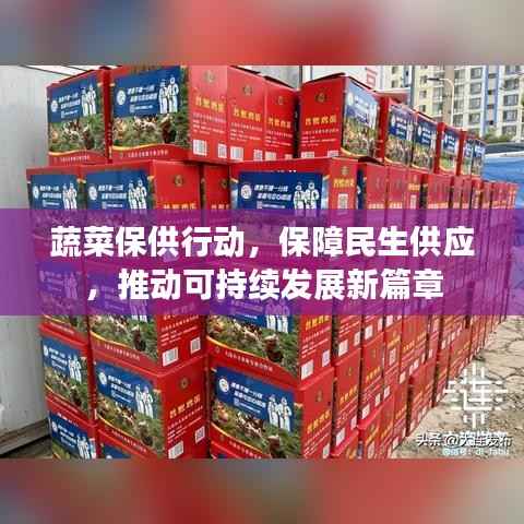 蔬菜保供行动,保障民生供应,推动可持续发展新篇章