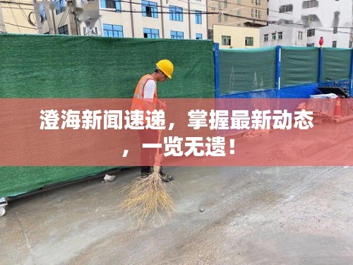 澄海新闻速递，掌握最新动态，一览无遗！